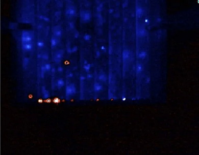 미세 션트 식별